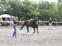 IMG_1362_web